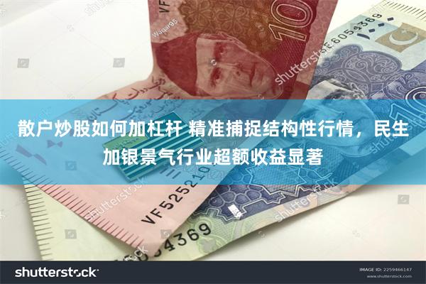 散户炒股如何加杠杆 精准捕捉结构性行情，民生加银景气行业超额收益显著