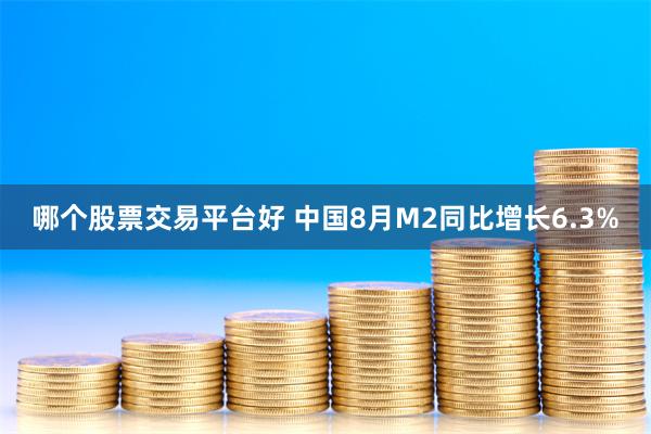 哪个股票交易平台好 中国8月M2同比增长6.3%