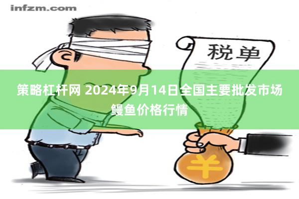 策略杠杆网 2024年9月14日全国主要批发市场鳗鱼价格行情