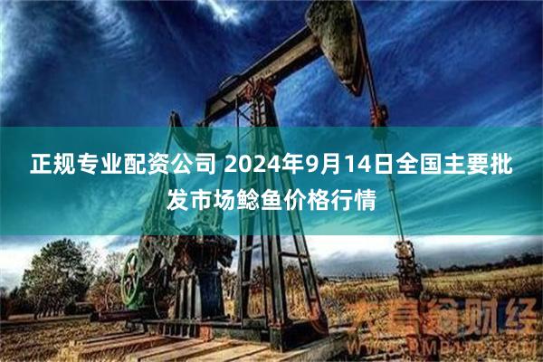 正规专业配资公司 2024年9月14日全国主要批发市场鲶鱼价格行情