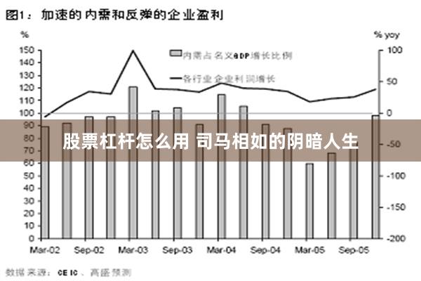 股票杠杆怎么用 司马相如的阴暗人生