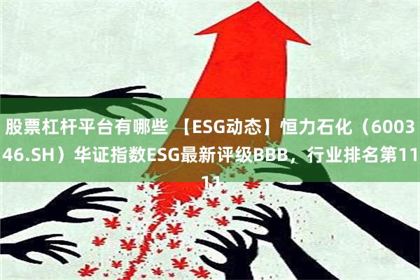 股票杠杆平台有哪些 【ESG动态】恒力石化（600346.SH）华证指数ESG最新评级BBB，行业排名第11